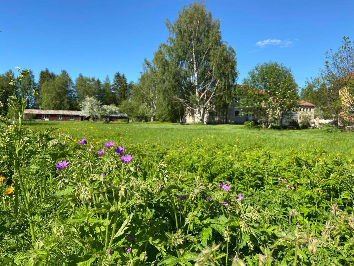 Vojakkala Vandrarhem Haparanda  Exterior foto